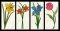 CCQ5123 - READ Flowers Set 3
