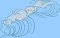 BFC2250 Waves