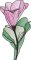BFC32281 Sheer Flower Two  Ways