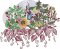BFC2054 Delight's Garden Fantasy Dragon Designs