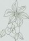 BFC1022 Persian Flowers & Birds Blackwork