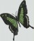 BFC1160 Butterfly Stamps Complete