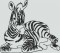 BFC1192 Decorative Elements Series Blackwork Zebras