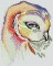 BFC1204 Ching Chou's Barn Owl