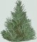 BFC1220 Large Christmas Tree 2012