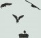BFC1255 Bird Silhouettes