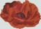 BFC1307 Lush Poppies Handbag