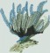 BFC1333 Sea Turtle Seascape