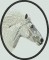 BFC1337 Galloping in the Wind Handbag