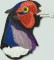 BFC1360 Large Pheasant