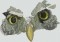 BFC1403 Large Pygmy Owl