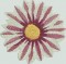 BFC1471 Gazania
