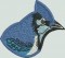 BFC1523 FSL Winter Birds