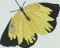 BFC1546 Butterfly Handbag