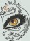 BFC1571 Exotic Eyes