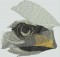 BFC1574 Large Eagle with American Flag II