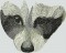 BFC1600 Large Baby Raccoon