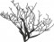 BFC1614 Flora - Bare Trees in Winter