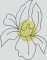 BFC1619 Embellished Floral Outlines