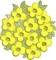 BFC1645 Gardening Quilt Collection - The Arboretum