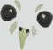 BFC1647 Three Baby Owl Portraits