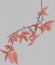 BFC1654 Japanese Umbrellas