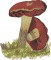 BFC1661 Vintage Mushrooms