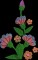 BFC1680 Unicorn and Flowers