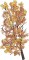 BFC1690 Large Mediterranean Seasons - Autumn