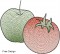 BFC1694 Stained Glass Autumn Quilt Circles