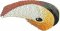 BFC1778 Large Mandarin Duck