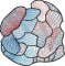 BFC1824 Stained Glass El Paso Rose Window