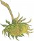 BFC1862 Large Sunflowers by Vincent Van Gogh