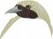 BFC1888 Large Bird of Paradise