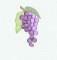 BFC0190 Lace Fabric Bowl-Grape Trellis