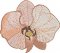 BFC1965 Boho Flowers and Leaves