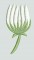 BFC0197 Lace Bowl-Daisy