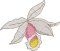 BFC2089 Vintage Hummingbirds with Flowers