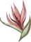 BFC2104 Tropical Handbag