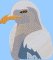 BFC2157 The Seagulls - Part 1