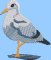 BFC2160 The Seagulls - Part 4