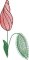 BFC2173 Modern Greenery