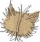 BFC2242 Follow Me