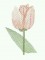 BFC0248 Lace Bowl & doily-Watercolor Tulips