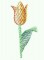 BFC0250 Watercolor Tulips
