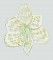 BFC0262 Amaryllis