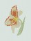 BFC0280 Lace Bowl and Doily-Day Lilies