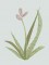BFC0281 Daylily Garden