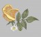 BFC0301 Lace Bowl & doily-Watercolor Roses