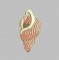 BFC0306 Fashion Jewelry